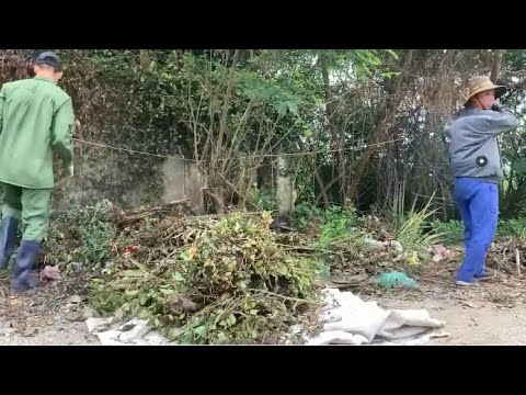 Видео: Убираем и красиво преображаем заросший дом, заброшенный 100 лет назад