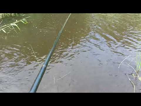 Видео: Рыбалка.