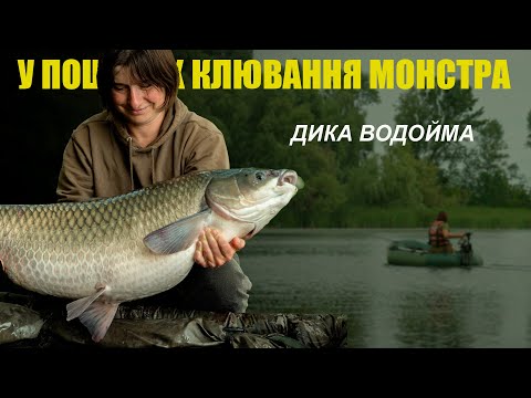 Видео: Особистий рекорд на дикій водоймі | У пошуках клювання монстра | Карпфішинг
