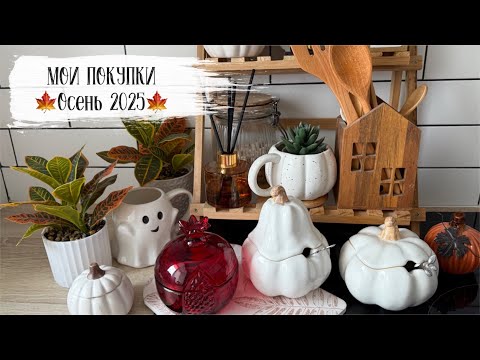 Видео: 🍁МОИ ПОКУПКИ: Фикс прайс, Вайлдберрис, Озон, Фамилия, осенний декор