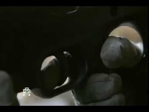 Видео: Орлы или Вороны