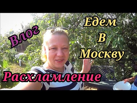 Видео: Дым в Москве / Мотивация на расхламление / Разбор гардероба /Ежедневные влоги