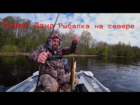 Видео: Рыбалка на Севере. Озеро Лача. Ловля Щуки, Окуня. Часть-1