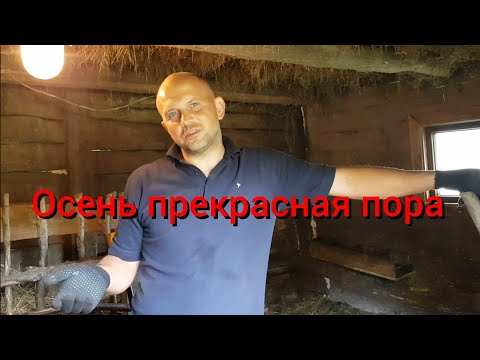 Видео: Мы с вами когда-то срывали старые полы в доме , а теперь срываем их в сарае . Приехал Валин брат !