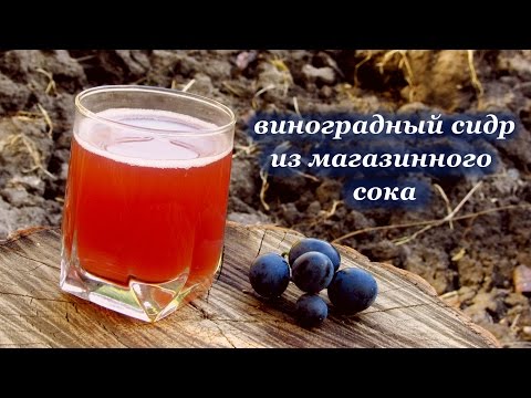 Видео: Виноградный сидр из магазинного сока