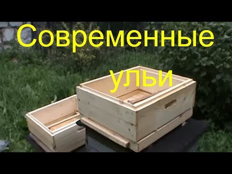 Видео: Современные ульи