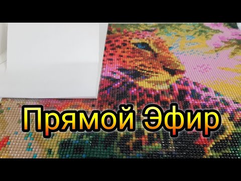 Видео: Ну Как Прошла Распродажа 11.11? Рассказывайте! И Я Расскажу)