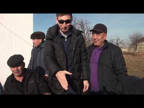 Видео: #1 Айтбекұлы Күнтудың елден бата алу көкпар тойы. Байтоғай ауылы, Арыс. 18.12.2021 ж.