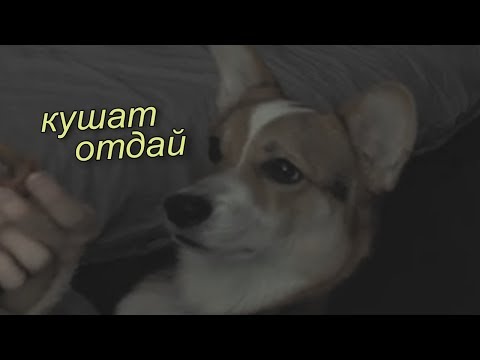 Видео: майнкрафт головного мозга