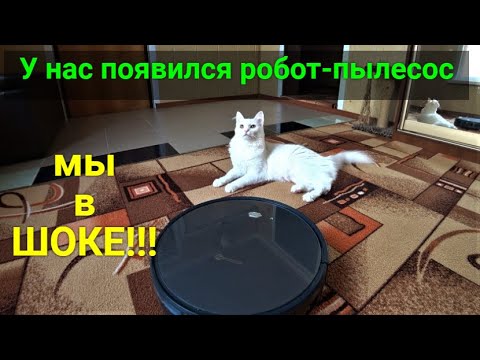 Видео: Обзор на робот-пылесос NEATSVOR X500 для сухой и влажной уборки!