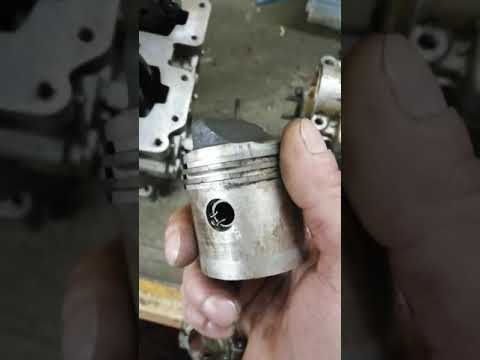 Видео: Плм москва малая и 12.5, в чём разница?