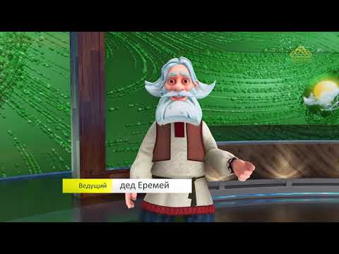 Видео: Прогноз погоды. 20 июня 2020