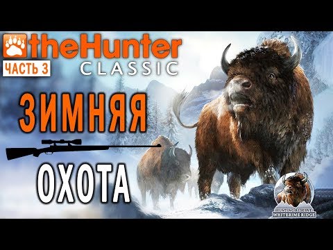Видео: theHunter Classic #3 🐶 - Зимняя Охота - Баран, Бизон, Заяц, Медведь - СТРИМ