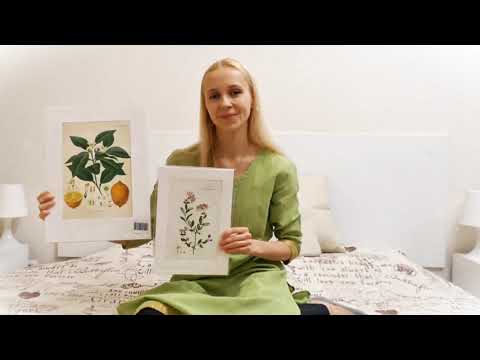 Видео: Ботанические иллюстрации в моей коллекции 🌿Botanical illustrations in my collection