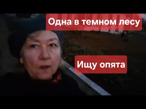 Видео: Белорусская грибалка в ноябре Неожиданная встреча