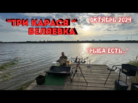 Видео: Озеро «Три карася» Беляевка. Октябрь 2024. #carpdesign #трикарася #nash #рыбалка #carp #fishing