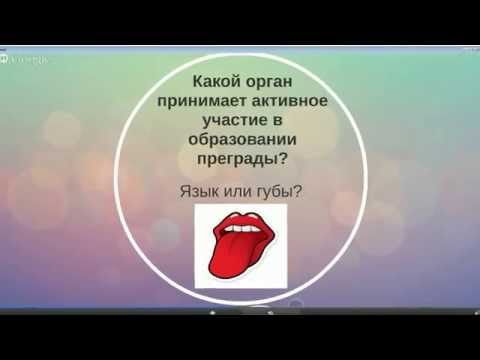 Видео: Акустико-артикуляционная характеристика звука С