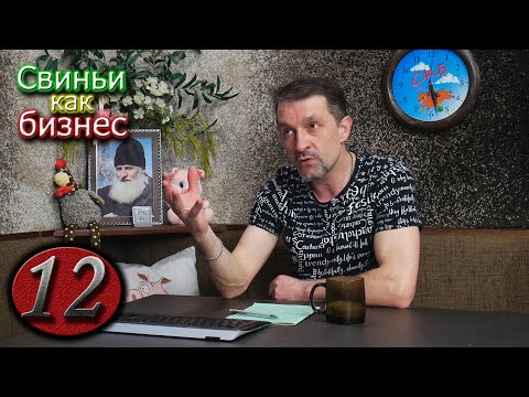 Видео: 🔄 Какой привес у свиней?