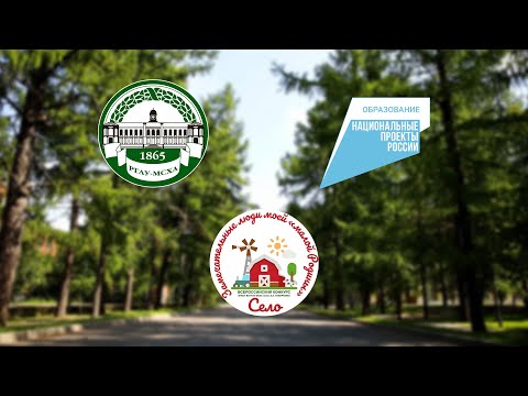 Видео: Прогулки по Тимирязевке. Лиственничная аллея