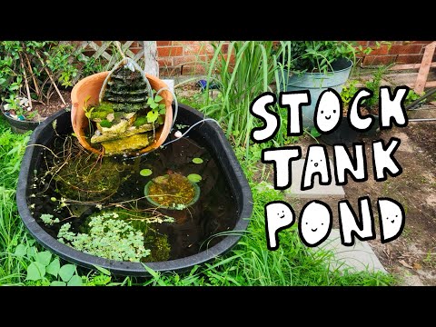 Видео: Новый пруд | Резервуар для хранения воды на 110 галлонов