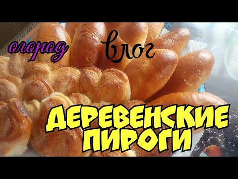 Видео: 💥многодетная семья.💣деревенские пироги!!!!🔥снова колбаски на костре. посадили малину. влог