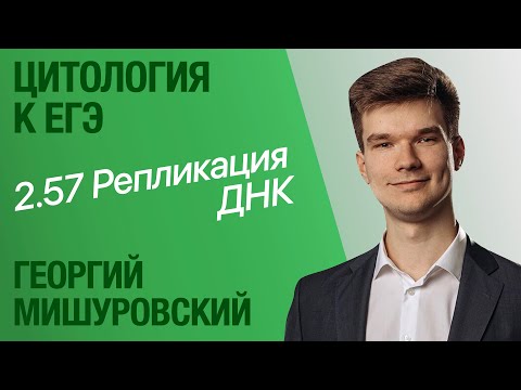Видео: 2.57. Репликация ДНК | Цитология к ЕГЭ | Георгий Мишуровский