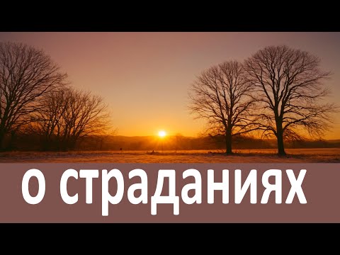 Видео: О болезнях,терпении и страданиях.  пр.  Серафим