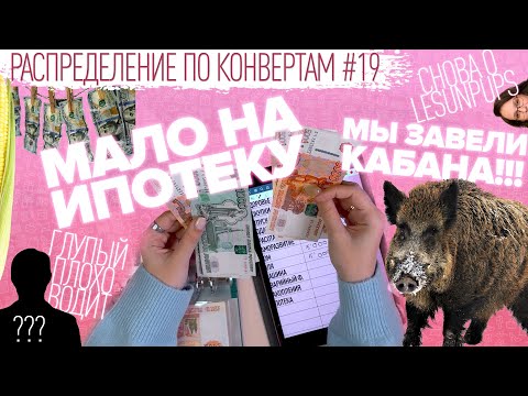 Видео: Распределение по конвертам №19/мне не понравилось/аниме/морозы/праздники/бюджет 157 900₽