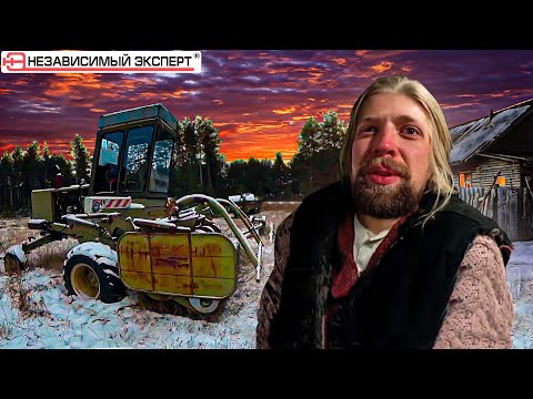 Видео: У собачихи в гостях!