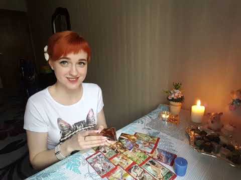 Видео: Тайные поклонники!