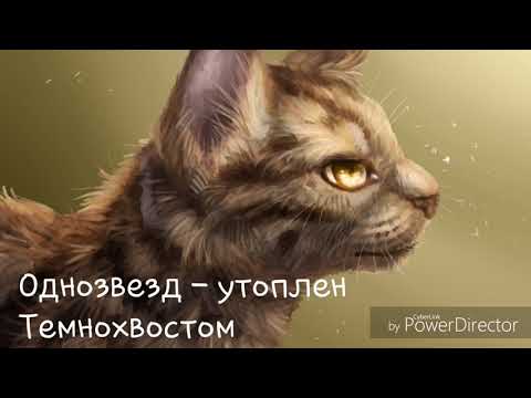 Видео: Смерти котов - воителей.