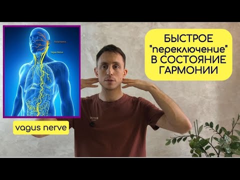 Видео: Быстрое "переключение" в состояние гармонии
