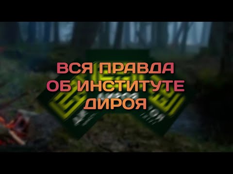 Видео: Вся правда об институте Дироя