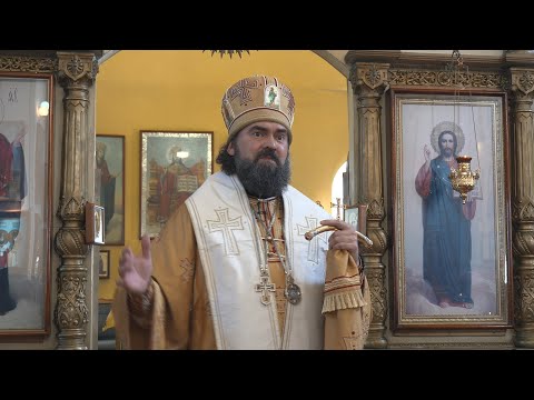 Видео: О нашем апостольстве