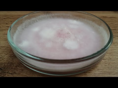 Видео: #Фузариоз. Гламурный и ужасный. Справятся ли биопрепараты?