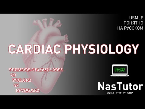 Видео: Физиология сердца: сердечный цикл, давление, звуки и патологии | USMLE Step 1 на русском