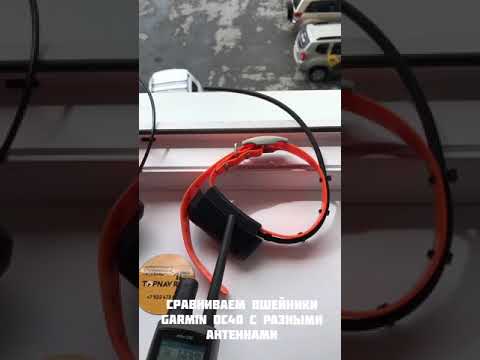 Видео: Garmin DC40 с антенной от Garmin T5