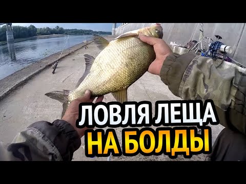 Видео: РЫБАЛКА!!! ЛОВЛЯ ЛЕЩА С ГОРОДСКОЙ НАБЕРЕЖНОЙ.Поклёвки ограничены но... Снасть болда для ловли леща.