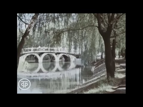 Видео: Город Шахты в 1979 году Ростовская область - Города Советского Союза документальный фильм СССР