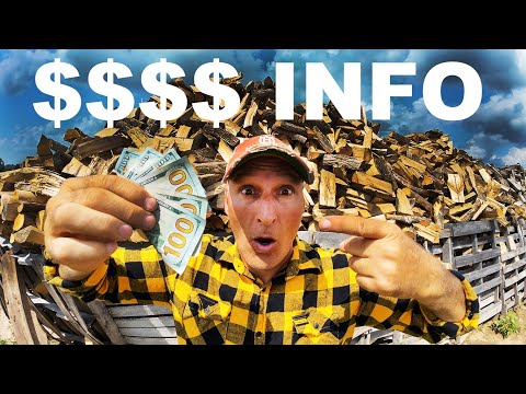 Видео: САМАЯ ЦЕННАЯ ИНФОРМАЦИЯ, КОТОРУЮ Я КОГДА-ЛИБО ДАВАЛА БЕСПЛАТНО