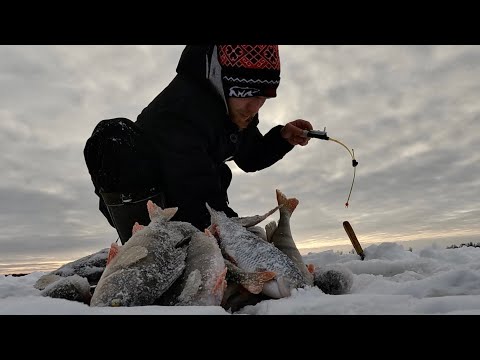 Видео: Я ЗНАЛ ЧТО НАДО ЕХАТЬ СЮДА! Зимняя рыбалка 2024