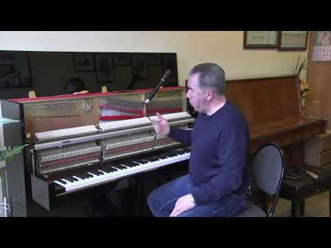 Видео: Концертная настройка пианино и роялей. Часть 5/7