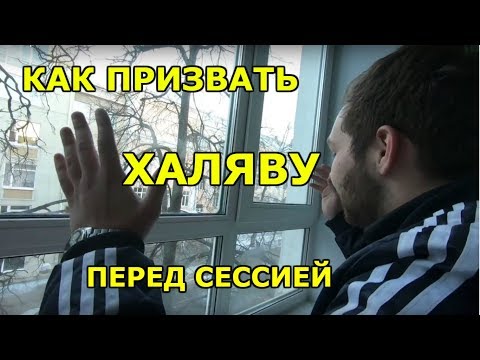 Видео: Традиции студентов перед сессией | Как призвать ХАЛЯВУ во время сессии