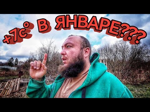 Видео: 🔴 ШОК!! Январь 2025: В Подмосковье теплее, чем в Сочи! Как это возможно?