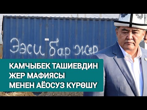 Видео: КАМЧЫБЕК ТАШИЕВ: ЖЕР САТКАН ШЫЛУУНДАРГА ЧЕКИТ КОЙЧУ МЕЗГИЛ КЕЛДИ.