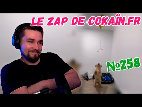 Видео: РЕАКЦИЯ ДИКТОРА | Le Zap de Cokaïn.fr n°258