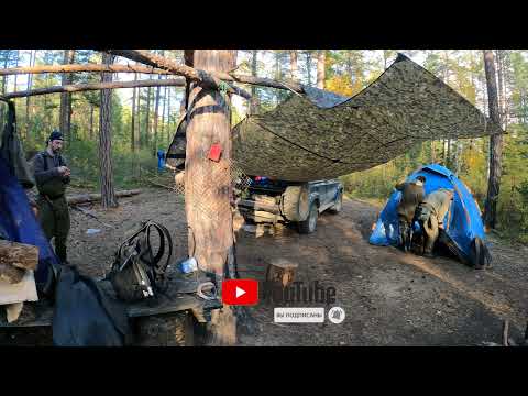 Видео: В тайгу за хариусом и ленком  золотой осенью . 4K. Часть 1.#2  Fishing in the taiga.