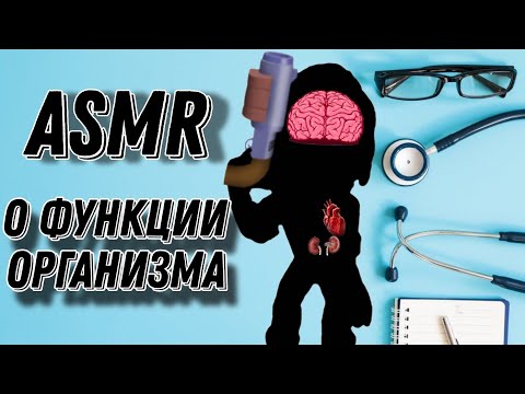 Видео: ASMR Brawl Stars | асмр о человеческом теле | болталка