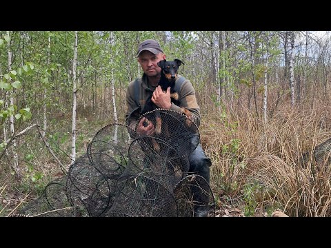 Видео: Іду на перевірку ятерів ,дві доби стояли. Порівнюю саморобного" коша" з китайським ятером.