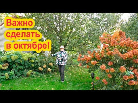 Видео: Важно сделать в октябре!